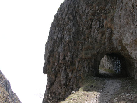 DSCN8128