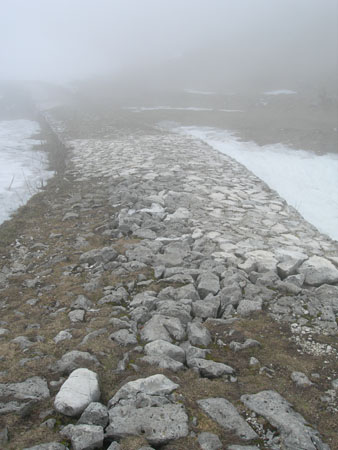 DSCN8142