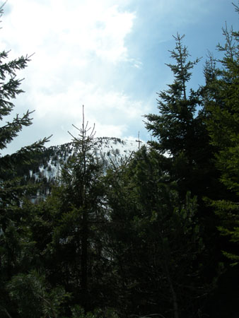 DSCN8168