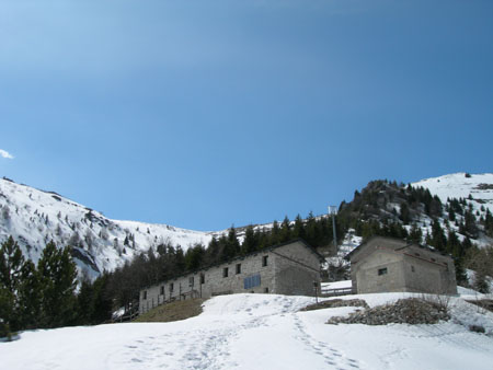 DSCN8178