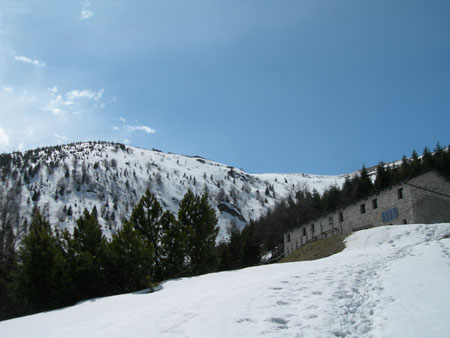 DSCN8179