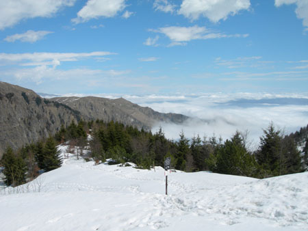 DSCN8187