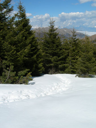 DSCN8203