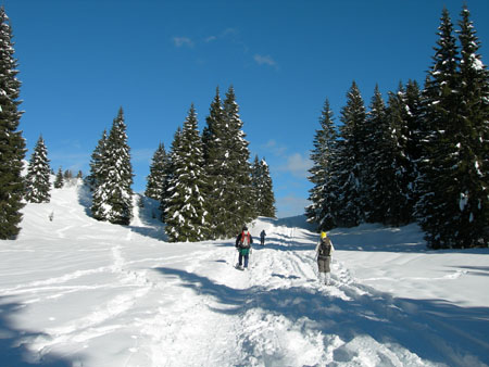 DSCN0020