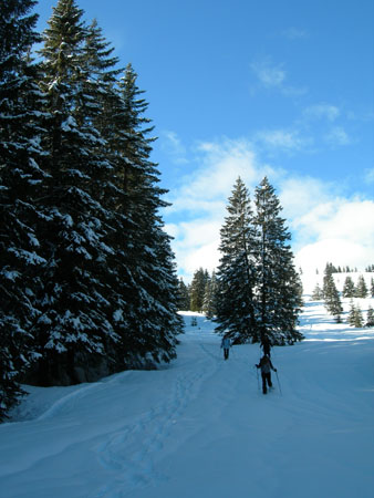DSCN0029