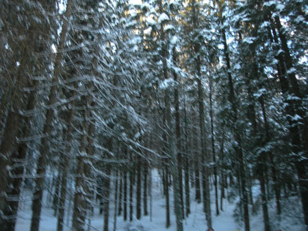 DSCN0049