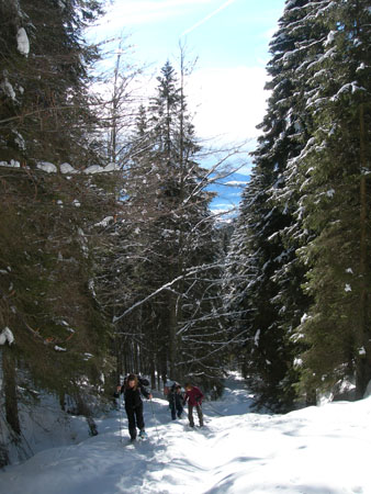 DSCN9980