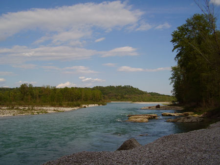 201