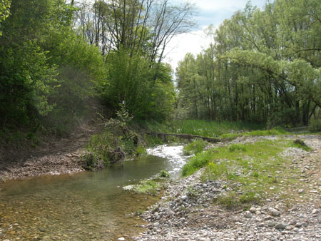 DSCN0061