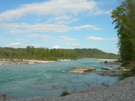 DSCN0083