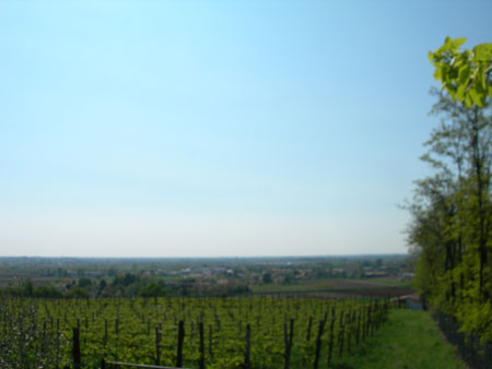 DSCN0100
