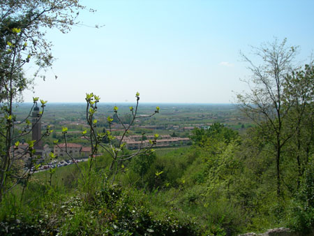 DSCN0131