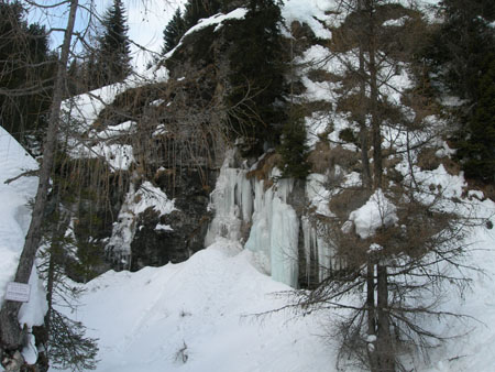 DSCN9575