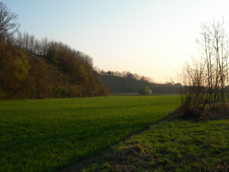 DSCN0625