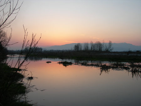 DSCN0630