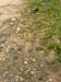 DSCN0572