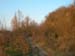 DSCN0623