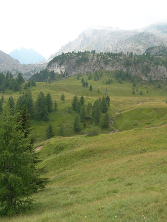 DSCN7364