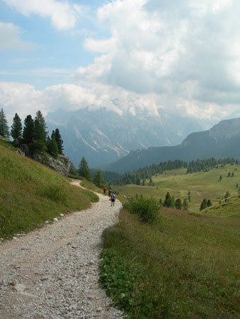 DSCN7382
