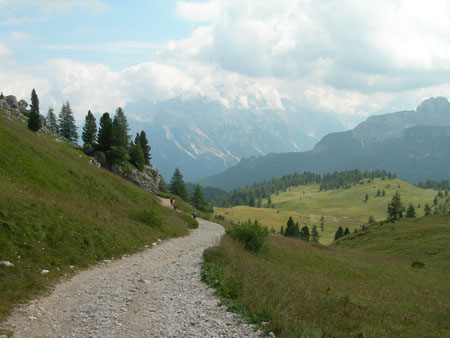 DSCN7387