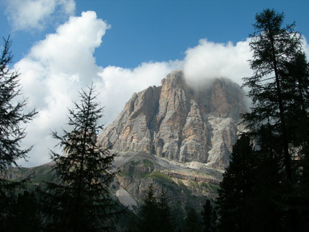 DSCN7539