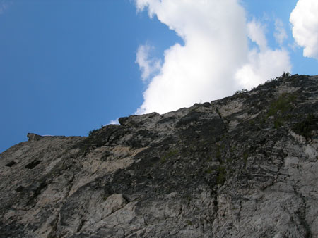 DSCN7587