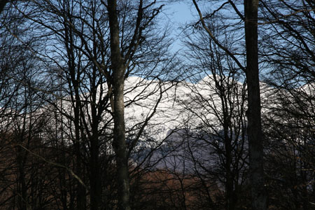 IMG_2686
