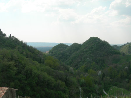 DSCN8801