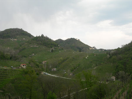 DSCN8837