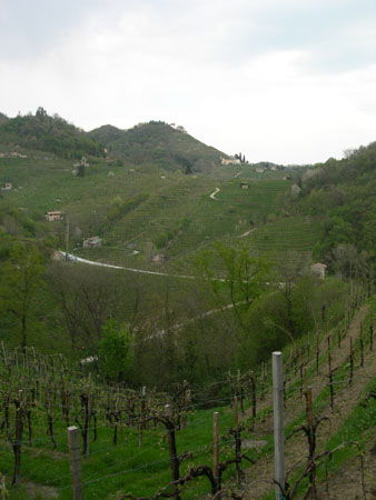 DSCN8841