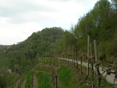 DSCN8844
