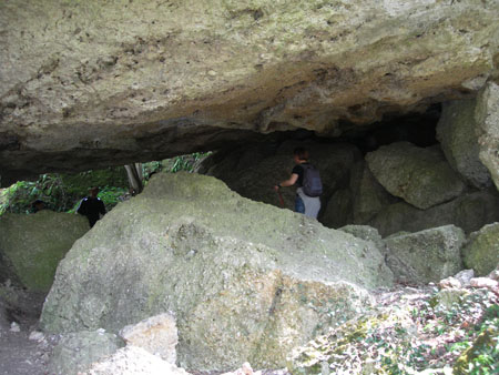 DSCN8708