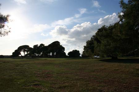 IMG_5163
