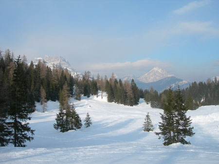 DSCN7729