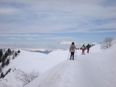DSCN4663
