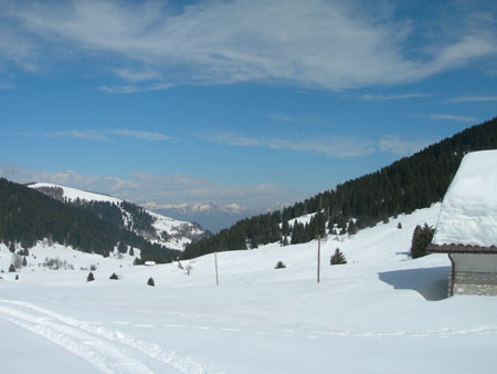 DSCN8342