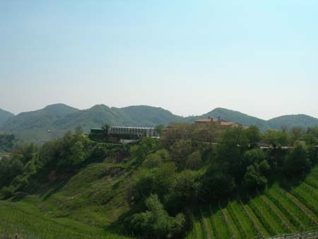 DSCN9455