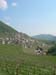DSCN9458