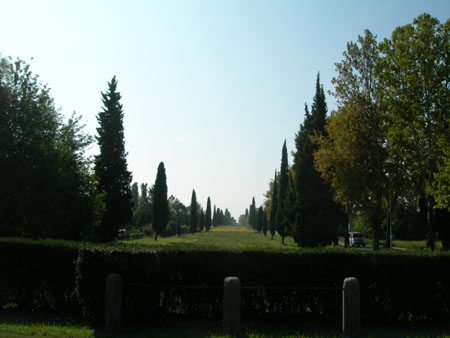 DSCN0601