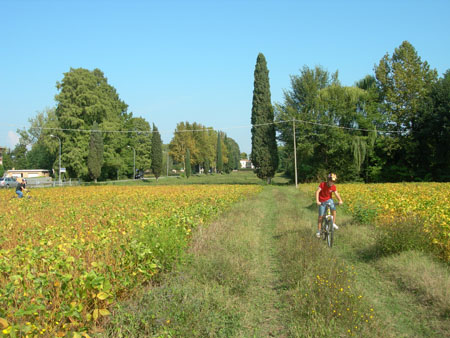 DSCN0605