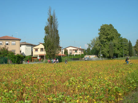 DSCN0606