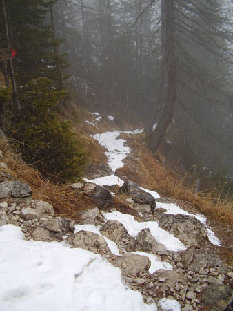 DSCN0043