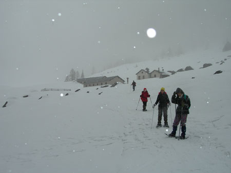 DSCN0078