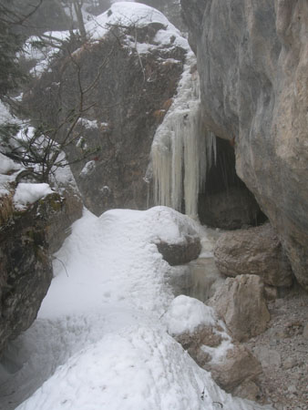 DSCN0084
