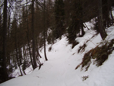 DSCN0104