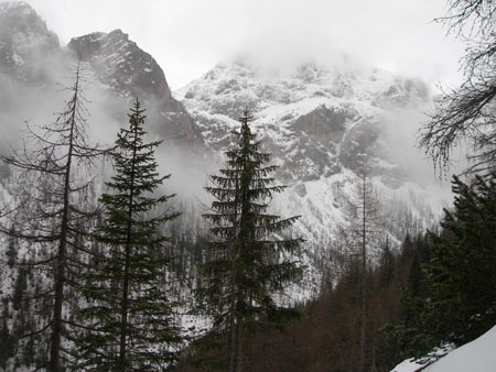 DSCN0557