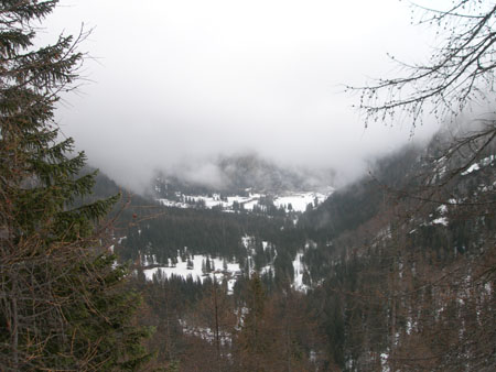 DSCN0559