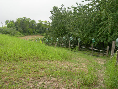 DSCN7644