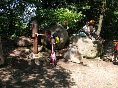 DSCN7713