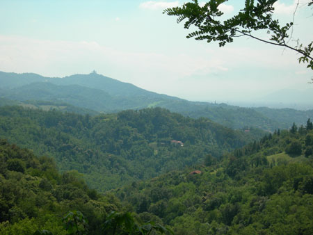 DSCN7720